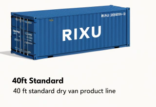 RIXU 40ft Blue Used Cargo Worthy Container for Sale